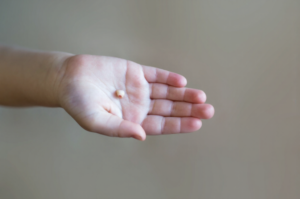 A parent picked up their child's broken tooth.